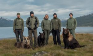 Viltnemnda: The Vital Role It Plays in Environmental Protection