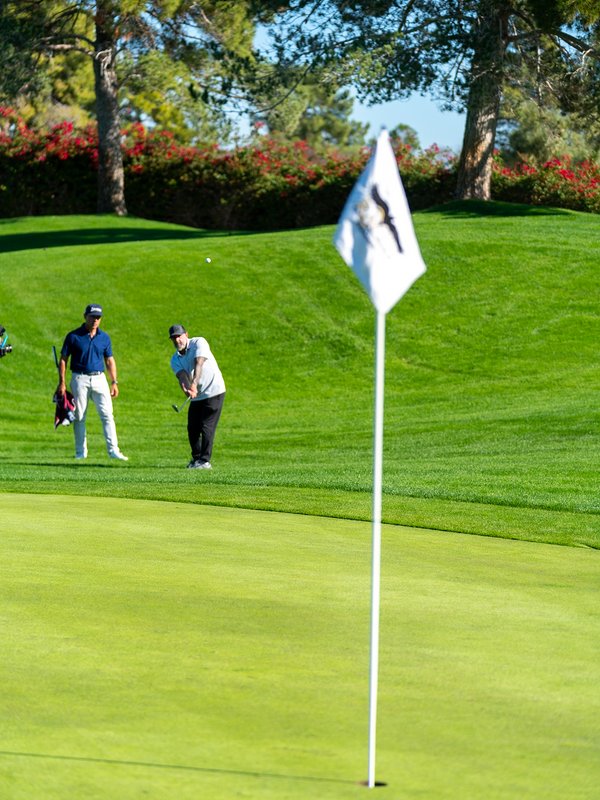 Performance Golf coaching instructor promotional image